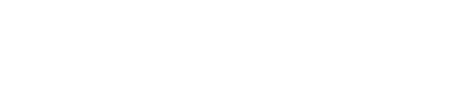 Nexi Logo